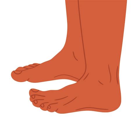 Premium Vector Human Naked Feet Barefoot Legs In Side View Bare Pair Of Legs Man Or Woman Feet