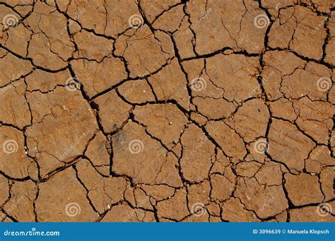 Soil Erosion By Overgrazing Desertification Royalty Free Stock