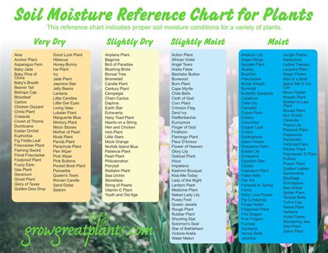 Plant Moisture Level Chart