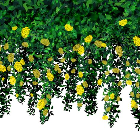 Hanging Plants And Their Bright Yellow Flowers Yellow Flower Hanging