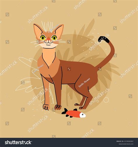 222 Abyssinia Design Images, Stock Photos, 3D objects, & Vectors