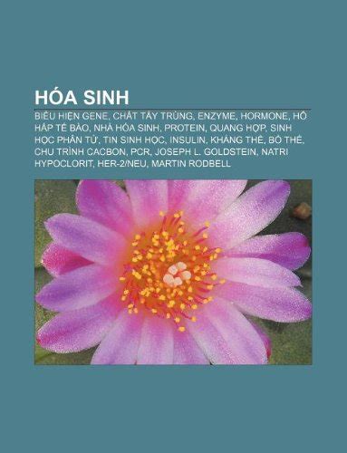 Hoa Sinh Bi U Hi N Gene Ch T T Y Trung Enzyme Hormone Ho H P T Bao