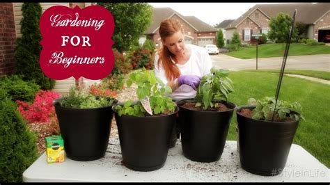 How To Garden For Beginners Madinotes