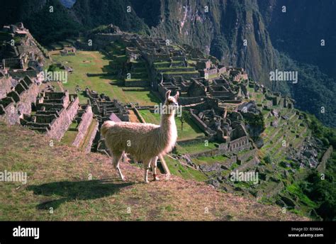 The Ruins Of Machu Picchu The Lost City Of The Incas In Peru South