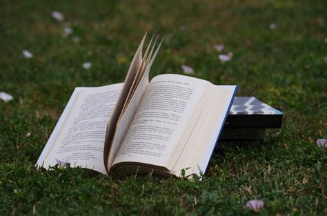 картинки : письмо, трава, лужайка, чтение, Книги, фотография, читать ...
