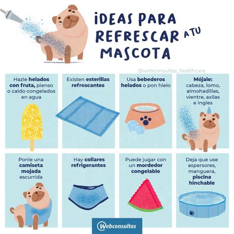 Cómo refrescar a tu perro en verano para que no pase calor