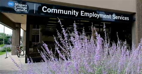 job postings community employment services niagara college
