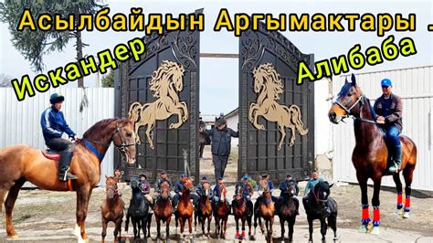 Алибаба Искендер Хан жана башка Аргымактар Бишкекте👆 - YouTube