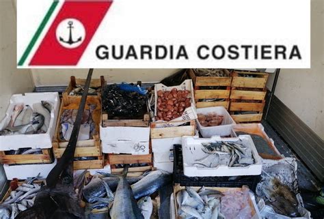 Pesce E Prodotti Ittici Scaduti E Non A Norma Sequestri E Sanzioni Per