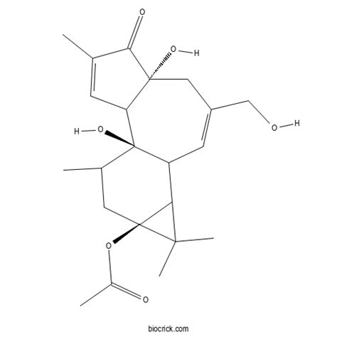 Prostratin CAS 60857 08 1 Phenols High Purity Manufacturer BioCrick