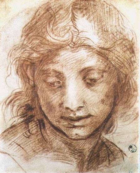 Andrea Del Sarto Portrait Portrait Drawing Uffizi Gallery