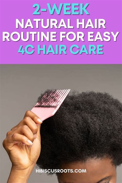 2 Week Natural Hair Routine for 4C Hair Care | Natural hair routine ...