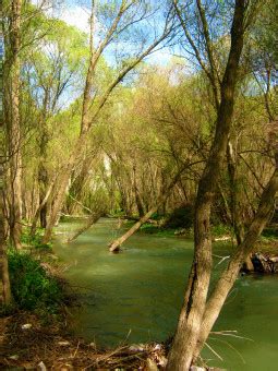 Fotos Gratis Paisaje Rbol Agua Naturaleza Bosque Al Aire Libre