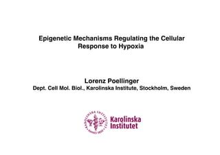 Epigenetic Mechanisms Regulating The Cellular Response To Hypoxia PPT