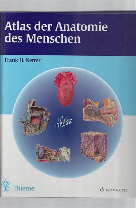 Atlas Der Anatomie Des Menschen NETTER Kaufen Auf Ricardo