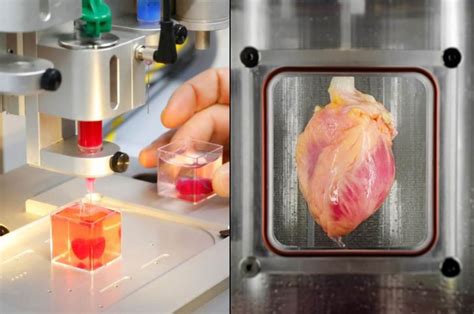 World S First 3d Printed Hearts And Functional Beating Hearts Grown From Stem Cells