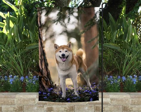 shiba inu grow a garden 8