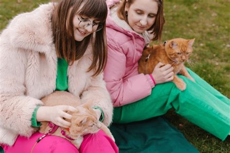 imágenes fotos de stock objetos en D y vectores sobre Animal sex women Shutterstock