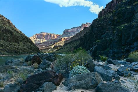 Grand Canyon A Colorful Masterpiece The Fact File