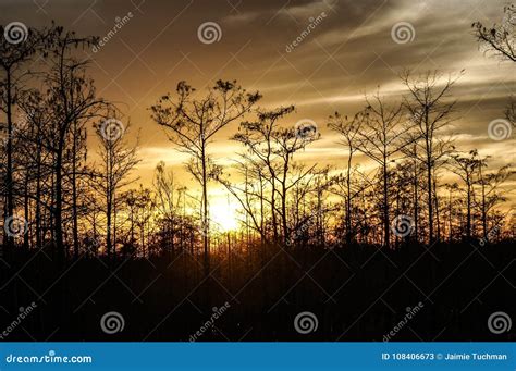 Sunset In The Louisiana Swamp Stock Image Image Of Botswana Africa