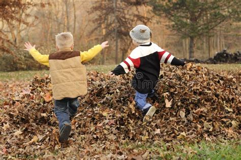 Jump into Fall! stock photo. Image of jump, october, pile - 37034868