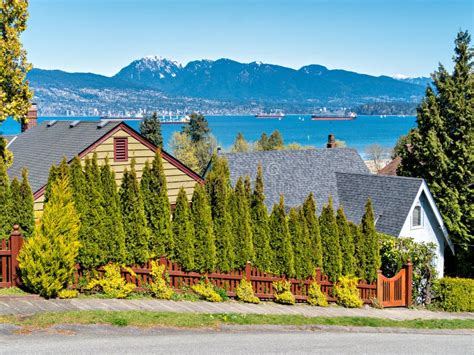 Ocean Going Cargo Vessels In Coal Harbor Bay In Vancouver Stock Image