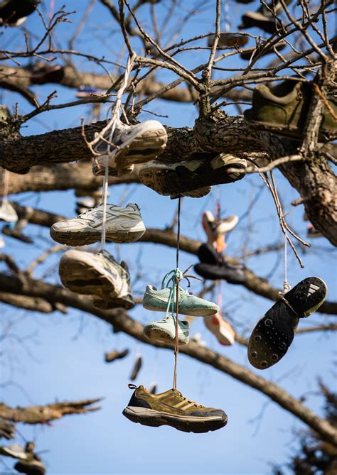 Southeast Missourian - Home