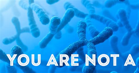 Crossdreamers Sex Gender Biology And Culture In The Chaos That Is The Transgender Debate