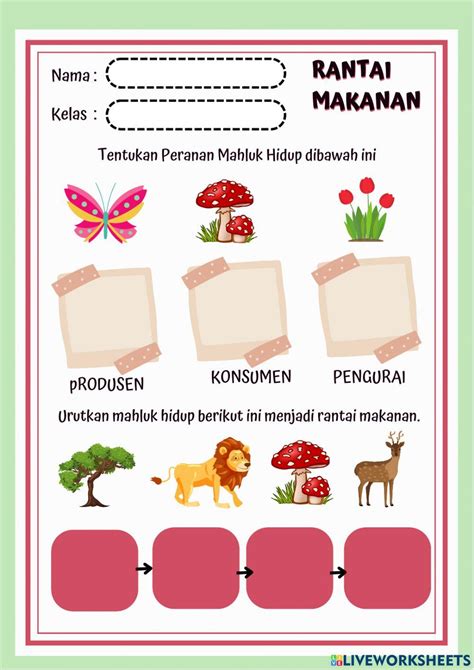 Rantai Makanan Online Pdf Exercise For 5 Live Worksheets
