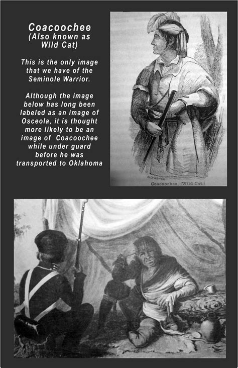 THE KINGS EDICT – The Mound Project