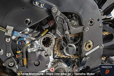 MotoGP The Beautiful Japanese Women Naked Again Paddock GP