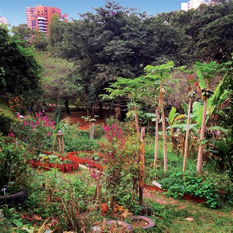 Reappropriating urban space through community gardens in Brazil