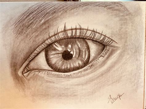 Eye Drawing Pencil Eyes Drawings Artwork Work Of Art Auguste