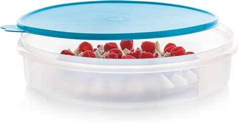 Tupperware Boîte à tarte ronde transparente avec joint bleu Amazon ca