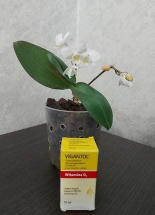 Vigantol. вігантол. вигантол. вітамін д3. витамин д3 — ціна 280 грн у ...