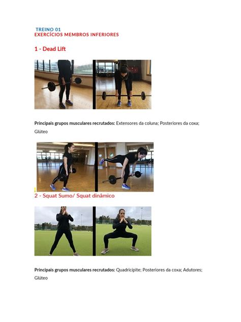 Treino De Superiores Pdf Musculação Exercício Físico