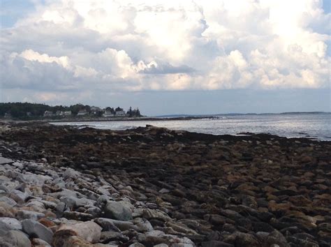 Rachel Carson Salt Pond Preserve