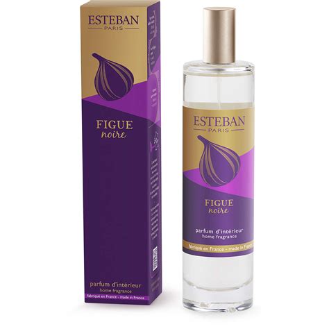 diffuseur d'ambiance Esteban FIG-046 diffuseur d'ambiance Esteban