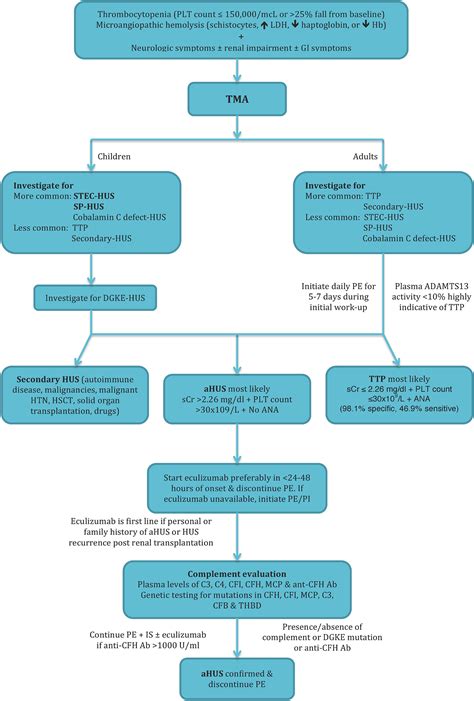 Atypical Hemolyticuremic Syndrome An Update On Pathophysiology