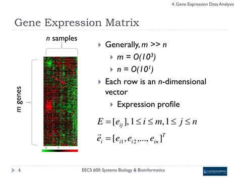 Ppt 4 Gene Expression Data Analysis Powerpoint Presentation Free