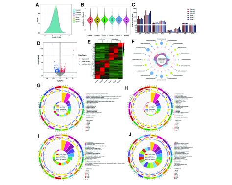 The Overall Expression Of Mrna And The Description Of Differentially Download Scientific