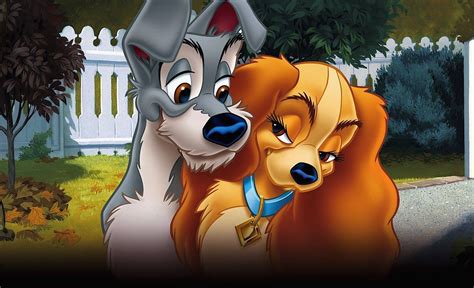 anchous994 - Леди и бродяга