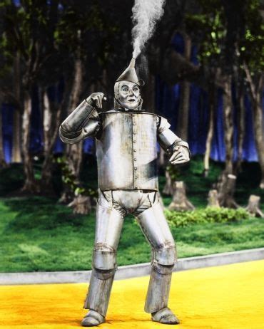 Tin Man - The Wizard of Oz Photo (20474063) - Fanpop