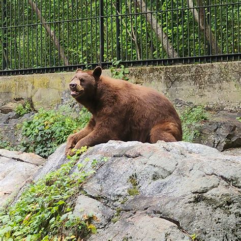 These digital map s are surprisingly detailed for remote areas 23