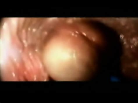 This Is What Happens Inside Your Ass Delightful