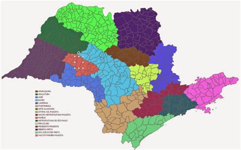 É Formado Por Vários Municípios - Municípios Coloridos De Acordo Com Cada Mesorregião Brasileiras - Um ...