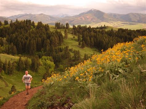 40 best Bozeman and Gallatin Valley Trails images on Pinterest | Hiking ...