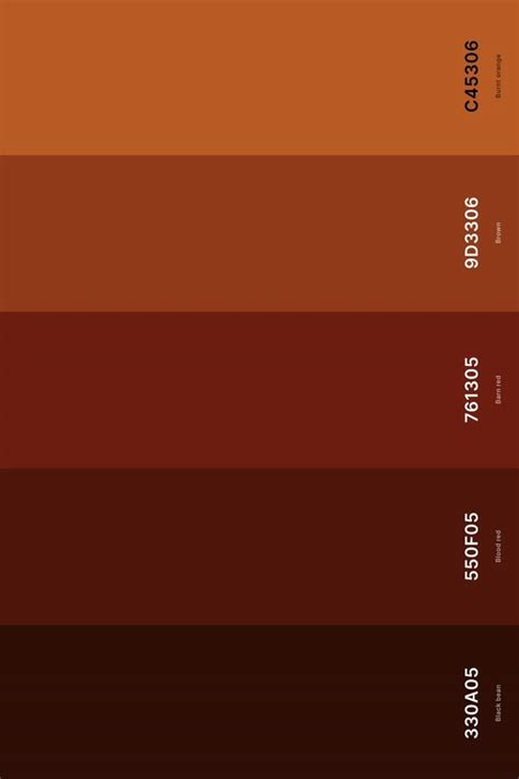 25 Best Terracotta Color Palettes With Names And Hex Codes In 2024sage ...