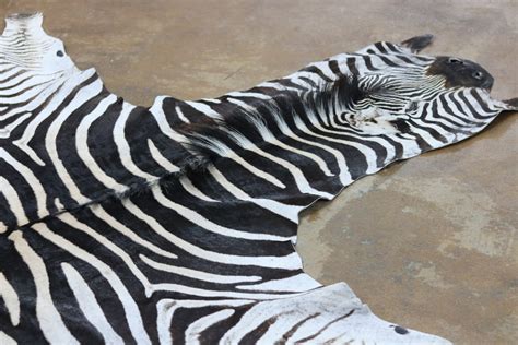 Zebra Skin African Leather