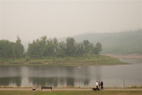 Chicago Daily Herald Archive: Reviewing Content from Page 108 8